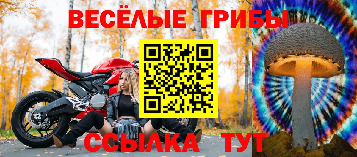 Псилоцибиновые грибы Cubensis  Вход с VPN  даркнет сайт  Красногорск 